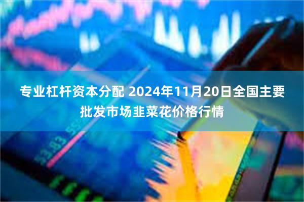 专业杠杆资本分配 2024年11月20日全国主要批发市场韭菜花价格行情