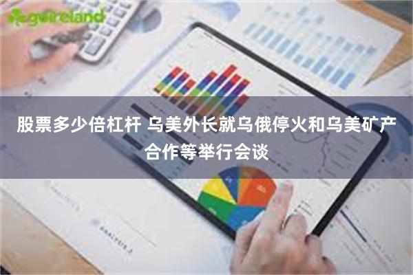 股票多少倍杠杆 乌美外长就乌俄停火和乌美矿产合作等举行会谈