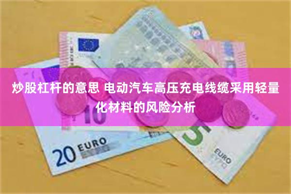 炒股杠杆的意思 电动汽车高压充电线缆采用轻量化材料的风险分析