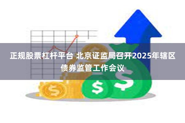 正规股票杠杆平台 北京证监局召开2025年辖区债券监管工作会议