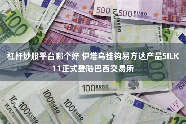 杠杆炒股平台哪个好 伊塔乌挂钩易方达产品SILK11正式登陆巴西交易所