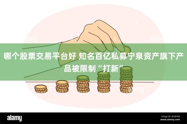 哪个股票交易平台好 知名百亿私募宁泉资产旗下产品被限制“打新”