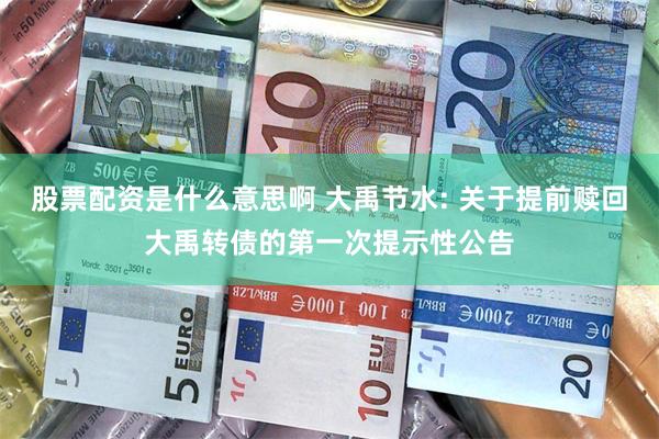 股票配资是什么意思啊 大禹节水: 关于提前赎回大禹转债的第一次提示性公告