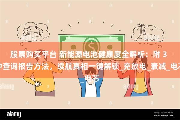 股票购买平台 新能源电池健康度全解析：附 3 种查询报告方法，续航真相一键解锁_充放电_衰减_电芯